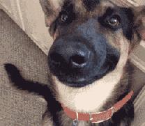 燃油宝对汽车有什么好与坏,燃油宝危害有哪些