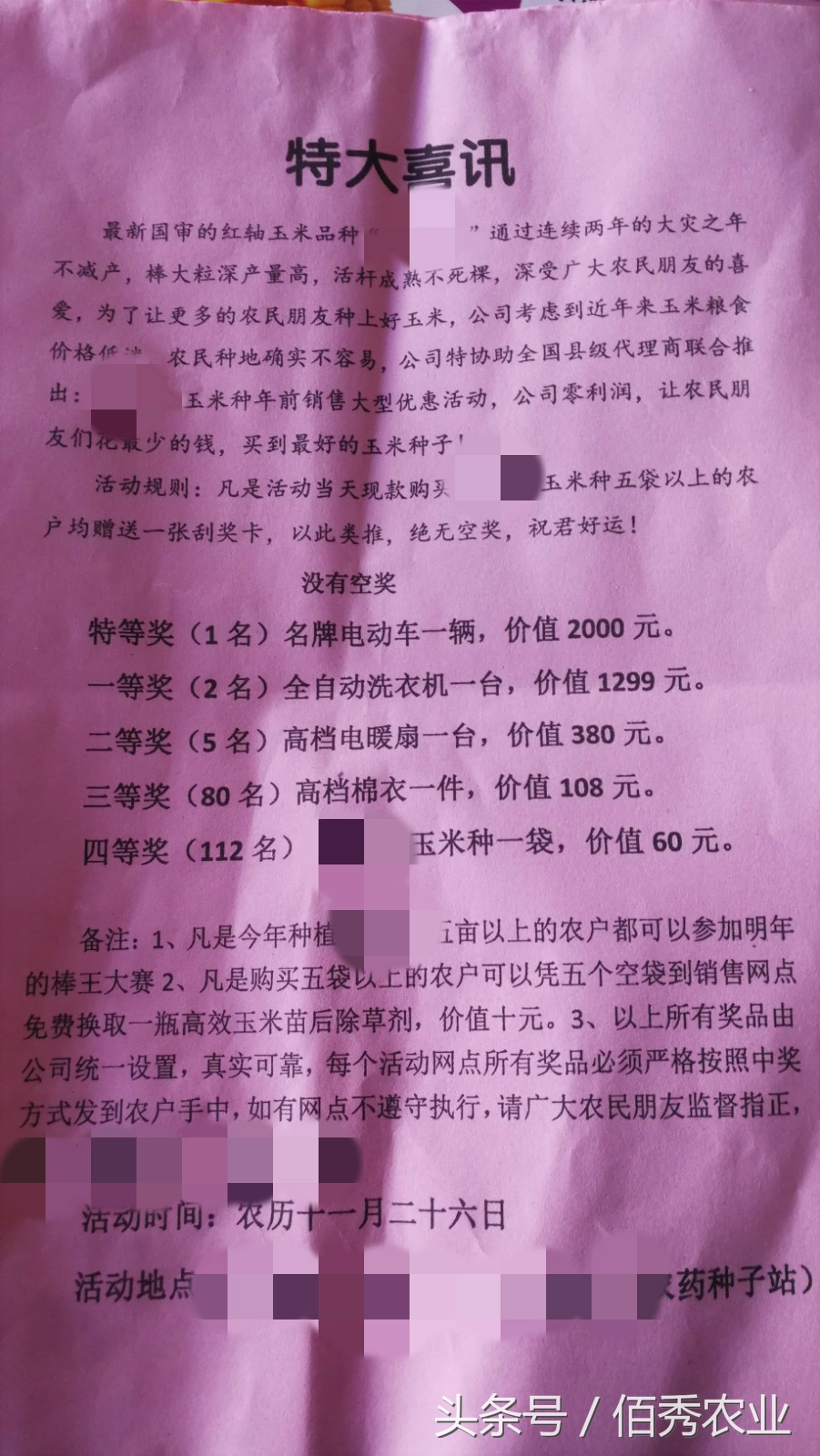 玉米挣钱了么,玉米种植的经济效益怎么样