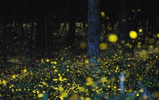 必须要去三亚的理由,去沙巴的十个理由