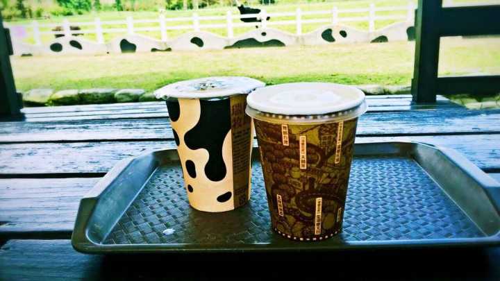 恋恋花莲小清新：寻找那一抹花意