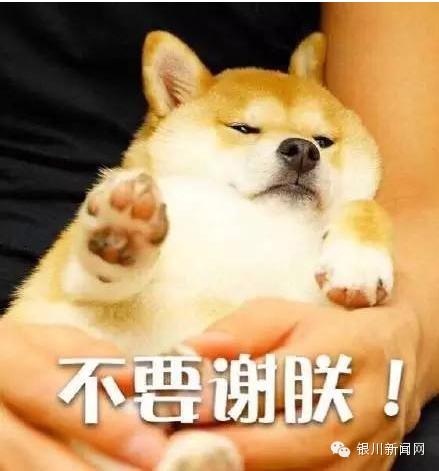 宁夏五一放假最新通知,银川市五一放几天假