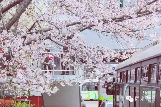 魔都最值得逛的76条马路,你都逛过了吗?