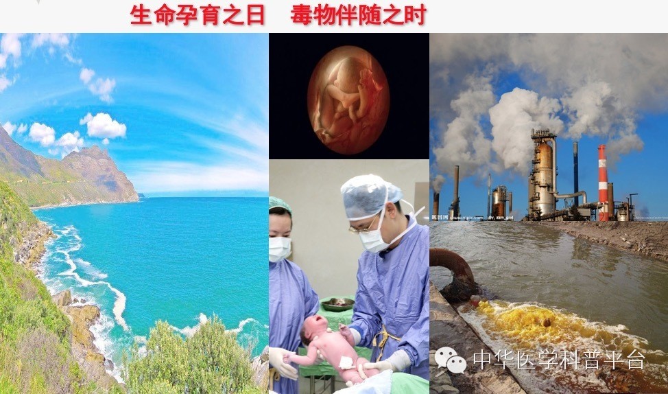 生活中哪些容易中毒,生活中各种食物中毒的表现