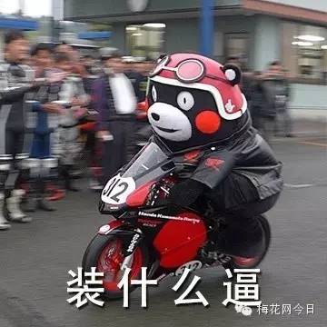 尔康表情包绿幕,尔康表情包原片段