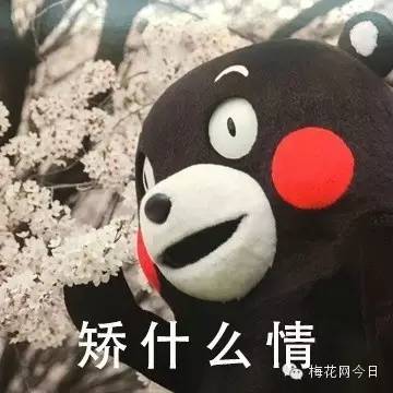 尔康表情包绿幕,尔康表情包原片段