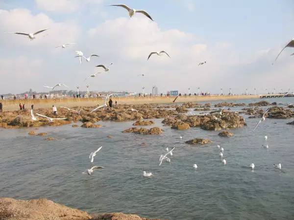 青岛海军节景点免费,青岛旅游景点免费政策