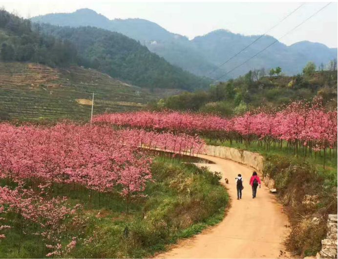 民族魂·耀中华优鸟智慧商务助力公益事业自造血转型发展
