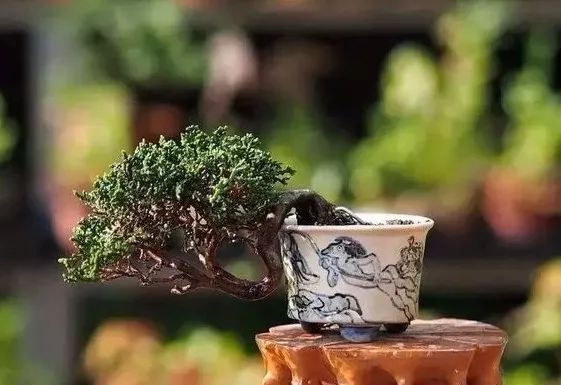 大师是怎样炼成的二胡独奏,真正的大师是怎么练成的