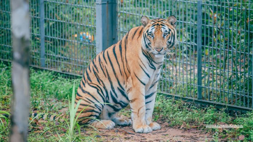 东南亚海岛奢华酒店,东南亚海岛度假酒店