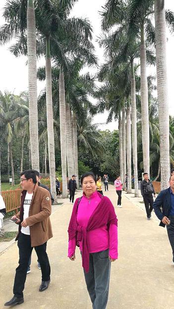 海南旅游不可错过的四大美食,去海南旅游绝不能错过的风味小吃