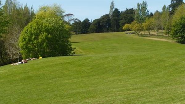 好天气不出门晒太阳,大好的天气不出门