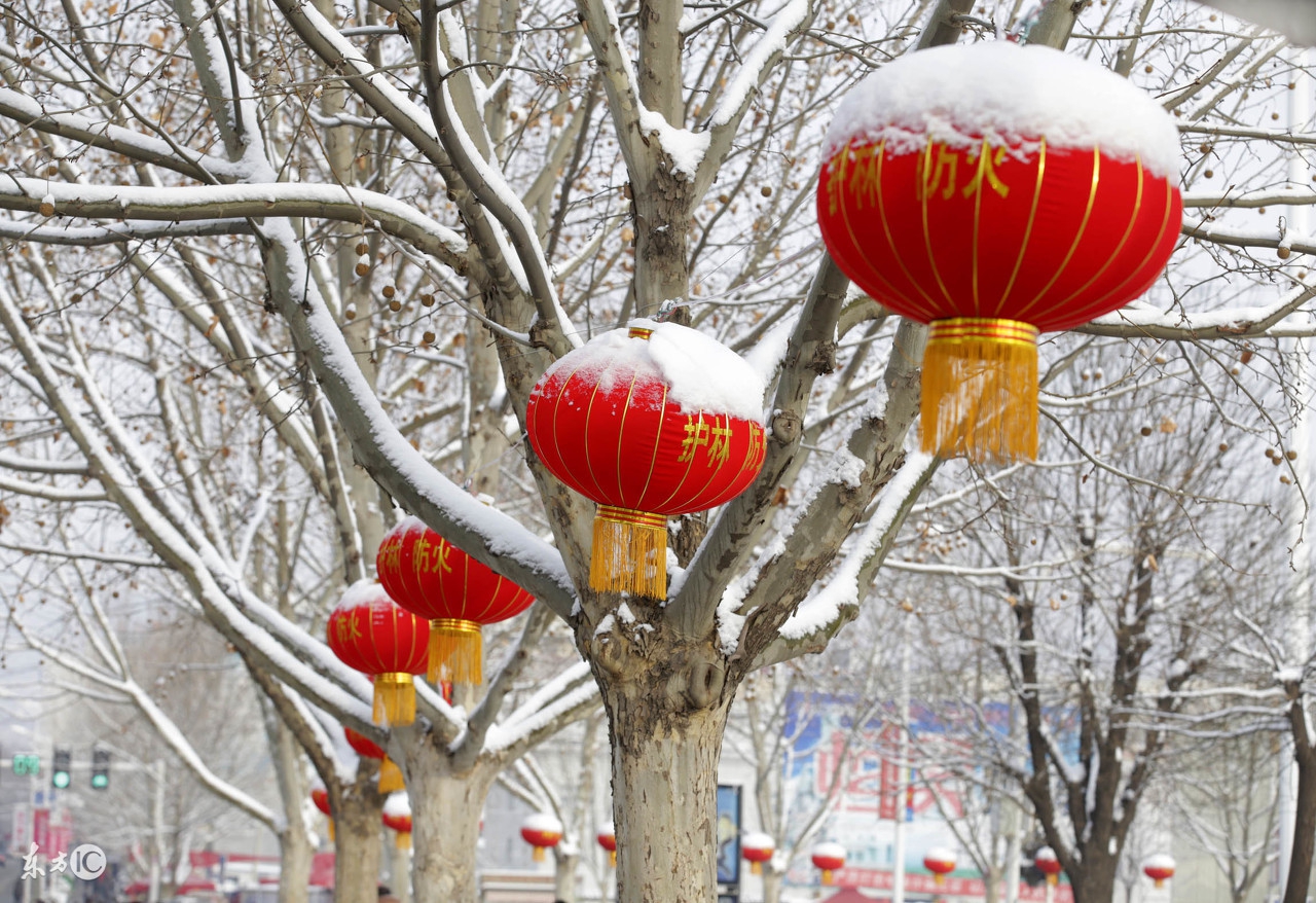 幼儿园简单的动物灯笼手工视频,制作狗狗灯笼儿童手工