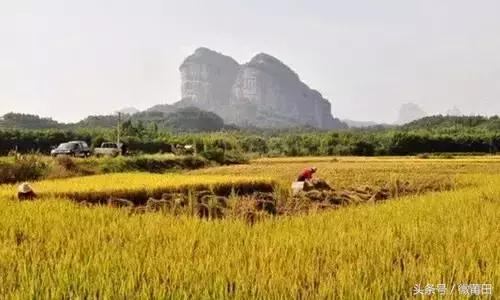 这是我的家乡闽南语,这是我的家乡全部视频