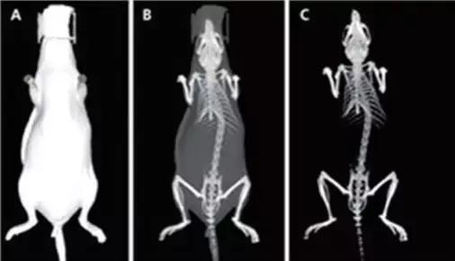 科技进步带给人类的福祉,科技进步带来利与弊