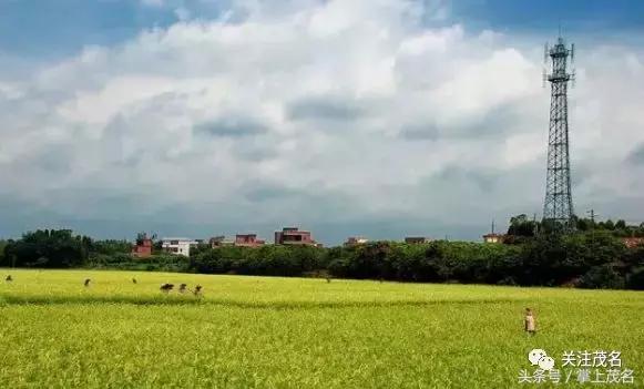 高州各镇历史来历,高州市有多少个镇街