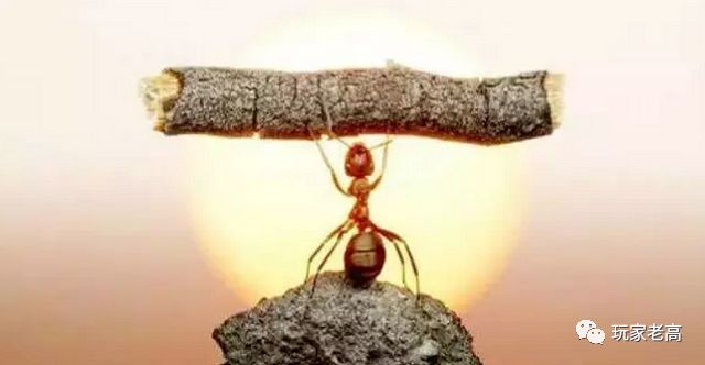 自驾游推荐美食,自驾旅游美食推荐