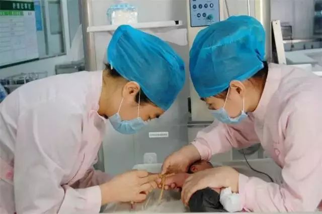 郑州东西统统免费吗,今天郑州哪些景区免费