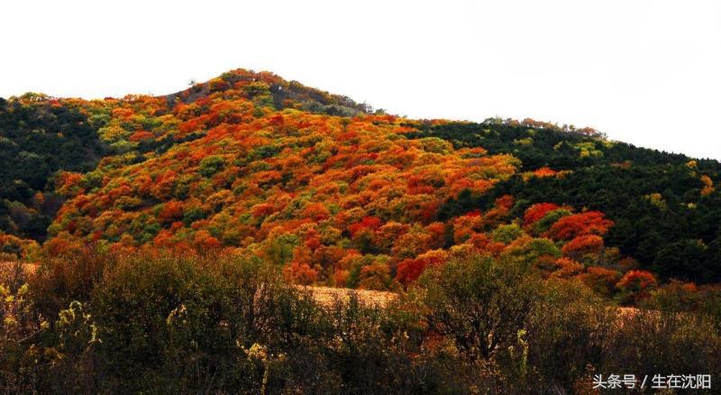 沈阳法库名字的由来,沈阳为啥叫大沈阳