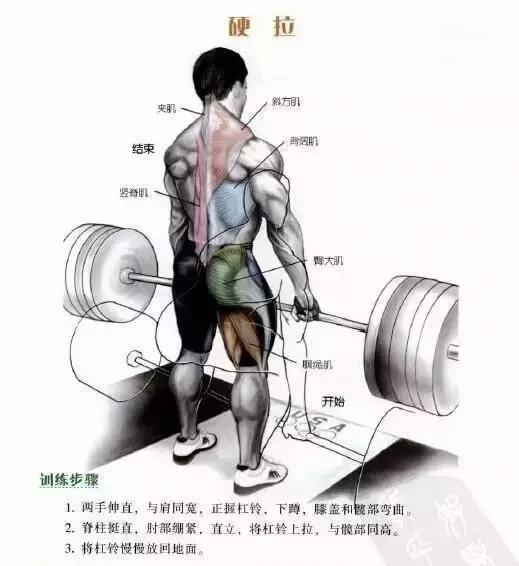 把背部肌肉全部练到的练背动作,最好的背肌训练动作