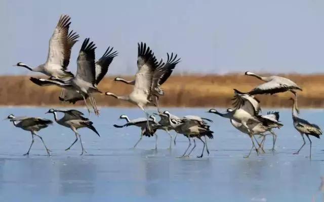 天津最值得去的八个景点,天津人不去的天津景点