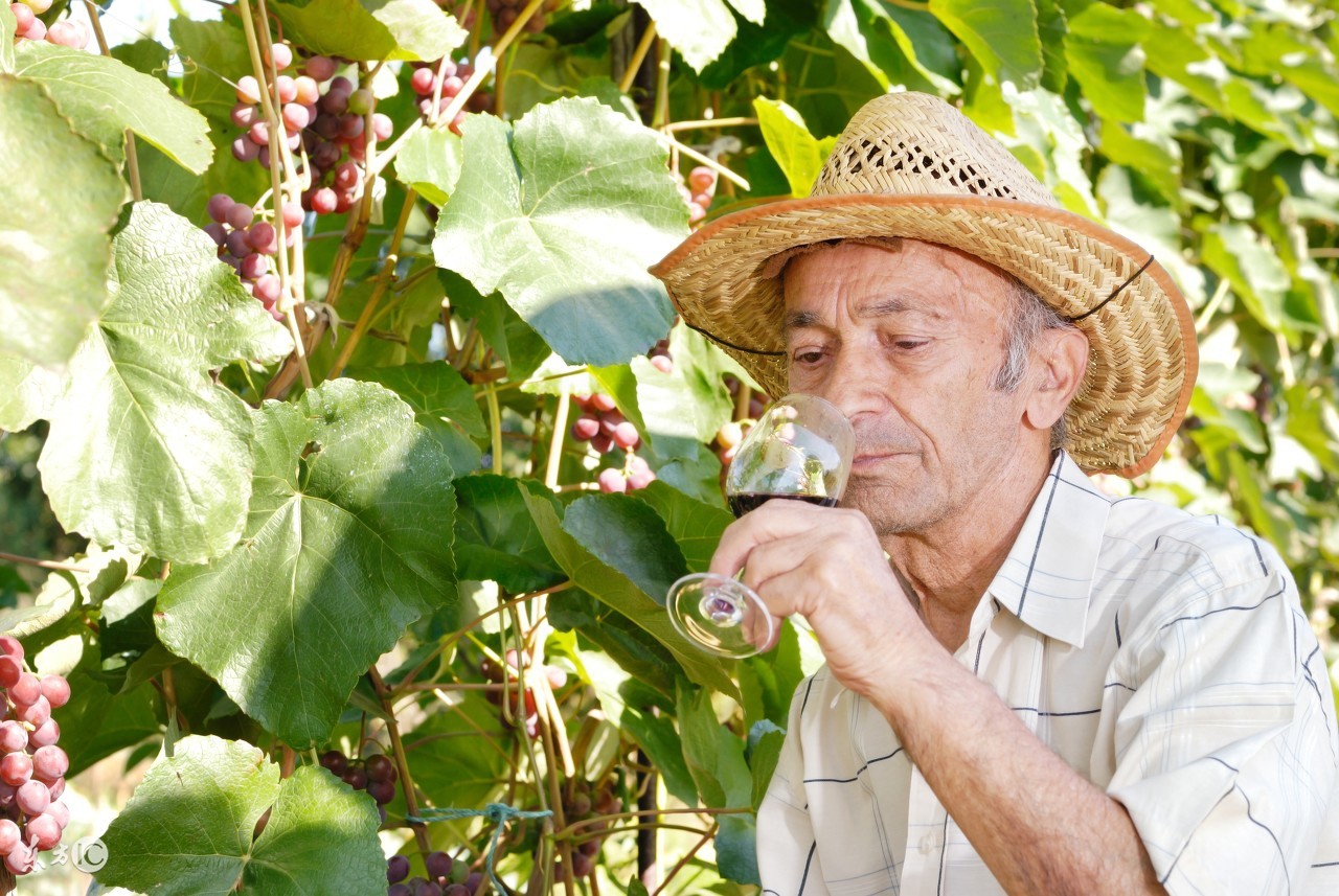 马云生意经小故事,做生意的人生哲理小故事