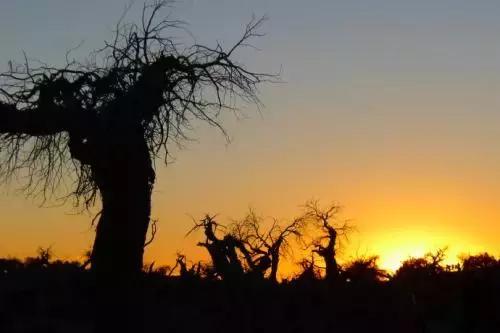 纳兰词最凄美的句子,纳兰性德凄美词