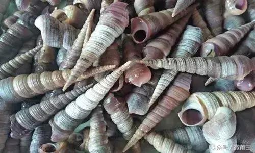 这是我的家乡闽南语,这是我的家乡全部视频