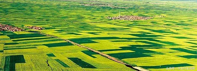 大深度,农服领域创业