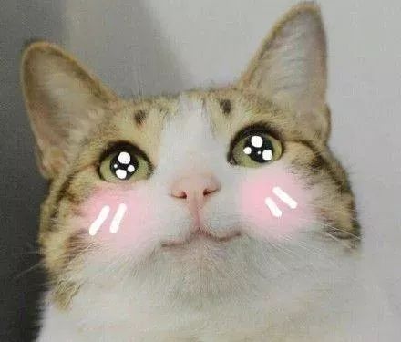 去香港买哪些产品好,去香港哪些烟值得购买