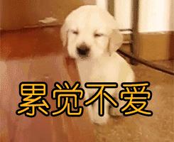 肇庆家装拎包入住,家装一站式体验