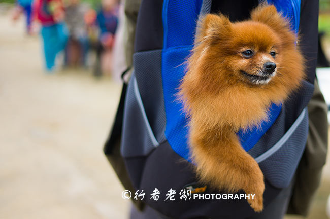 广东春节自驾云南游玩攻略,广东清远2021春节自驾短途游推荐