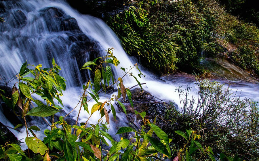 静谧山谷，流泉叠瀑︱呀诺达热带雨林
