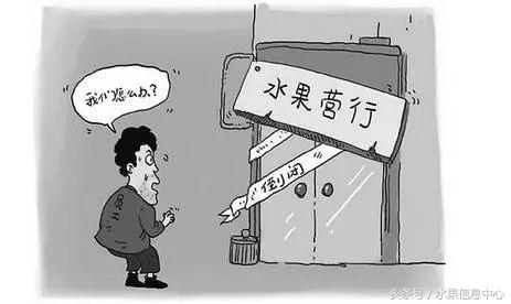 新手开水果加盟店能成功么,加盟开水果店风险大吗