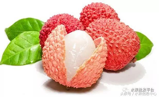 西瓜为什么是北瓜,为什么西瓜叫西瓜不叫绿瓜