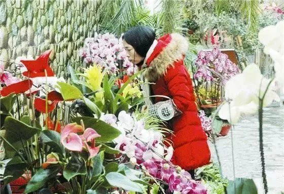 再上22天班，郑州人集体放假！做完这16件事，就过年啦！