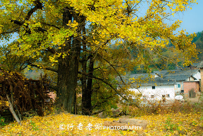 广东春节自驾云南游玩攻略,广东清远2021春节自驾短途游推荐