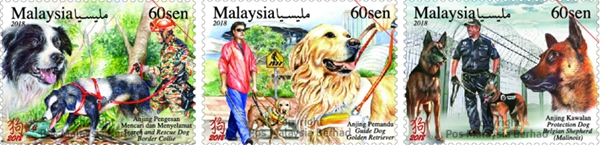 姣忔棩閭エ琛屾儏,姣忔棩閭エ閴磋祻鐢熻倴