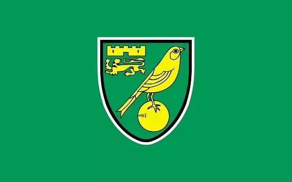 海鸥老鹰孔雀,海鸥老鹰