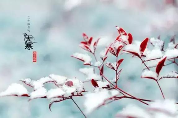 大寒元稹古诗朗诵,大寒古诗朗诵背景模板