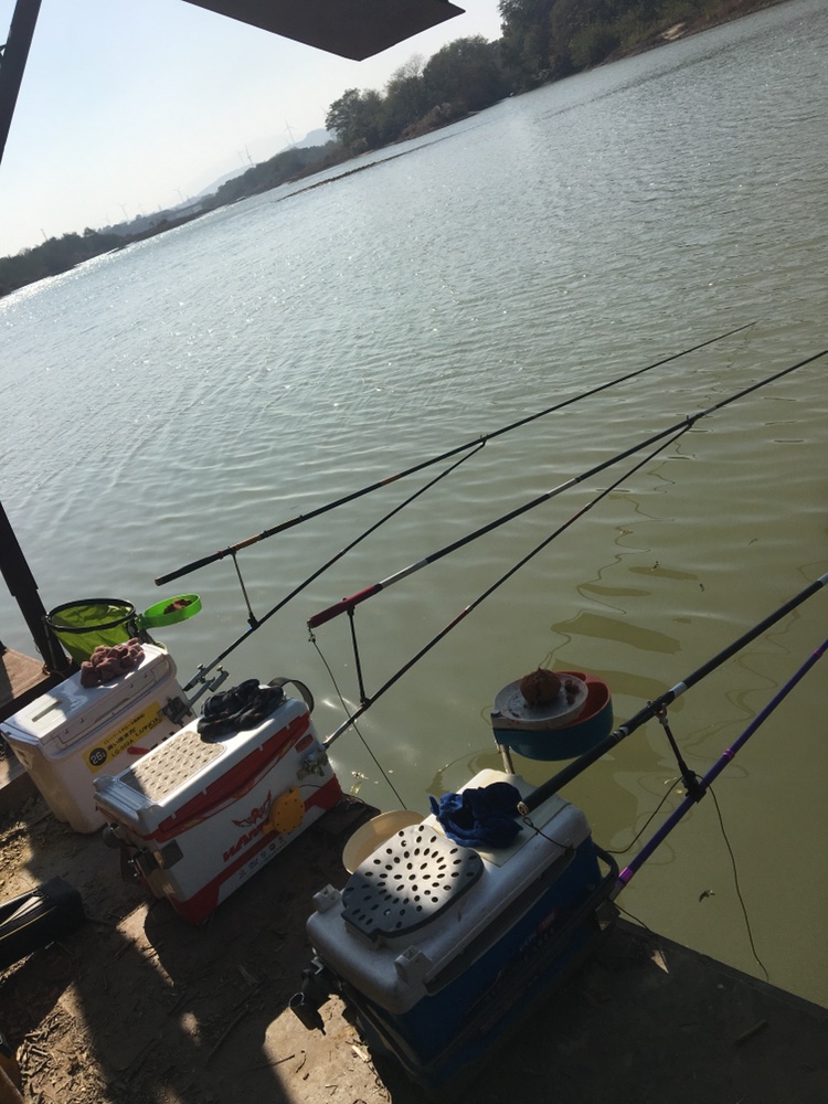 奇葩饵料,奇葩钓鱼饵料