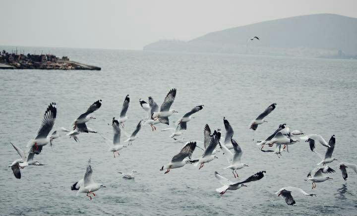 大理有哪几个景很美,大理的自然风光有哪些
