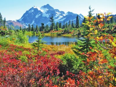 春花秋月夏夜冬雪解说,歌咏春夏秋冬的诗词