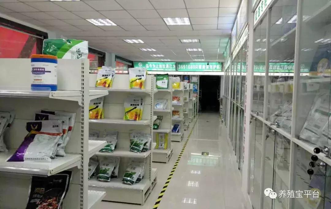 旭牧通创业,旭牧通2020年