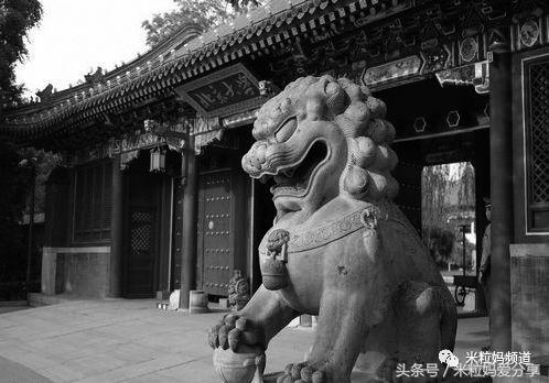 现在的时代还是寒门出贵子吗,拼爹的时代靠谱吗