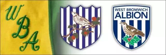 海鸥老鹰大雁,海鸥老鹰孔雀