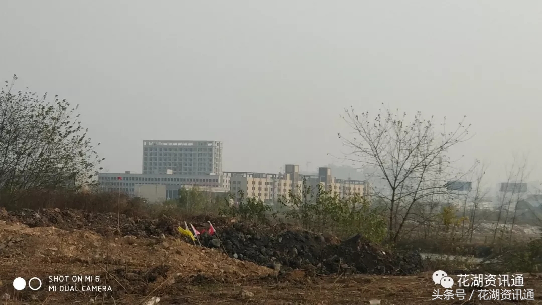 湖北国际物流核心枢纽产业规划,湖北国际货运物流中心