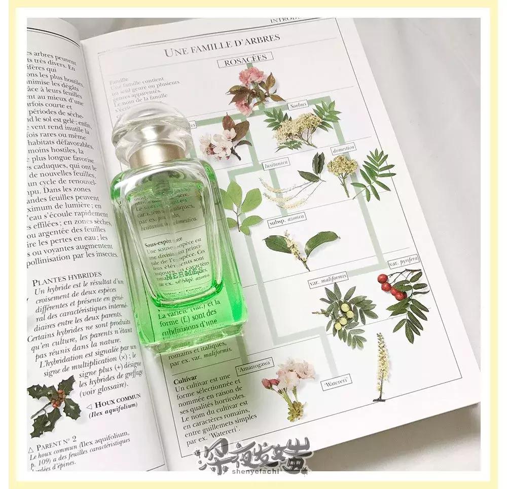 粉丝量20万以上的好物分享,粉丝年度爱用物