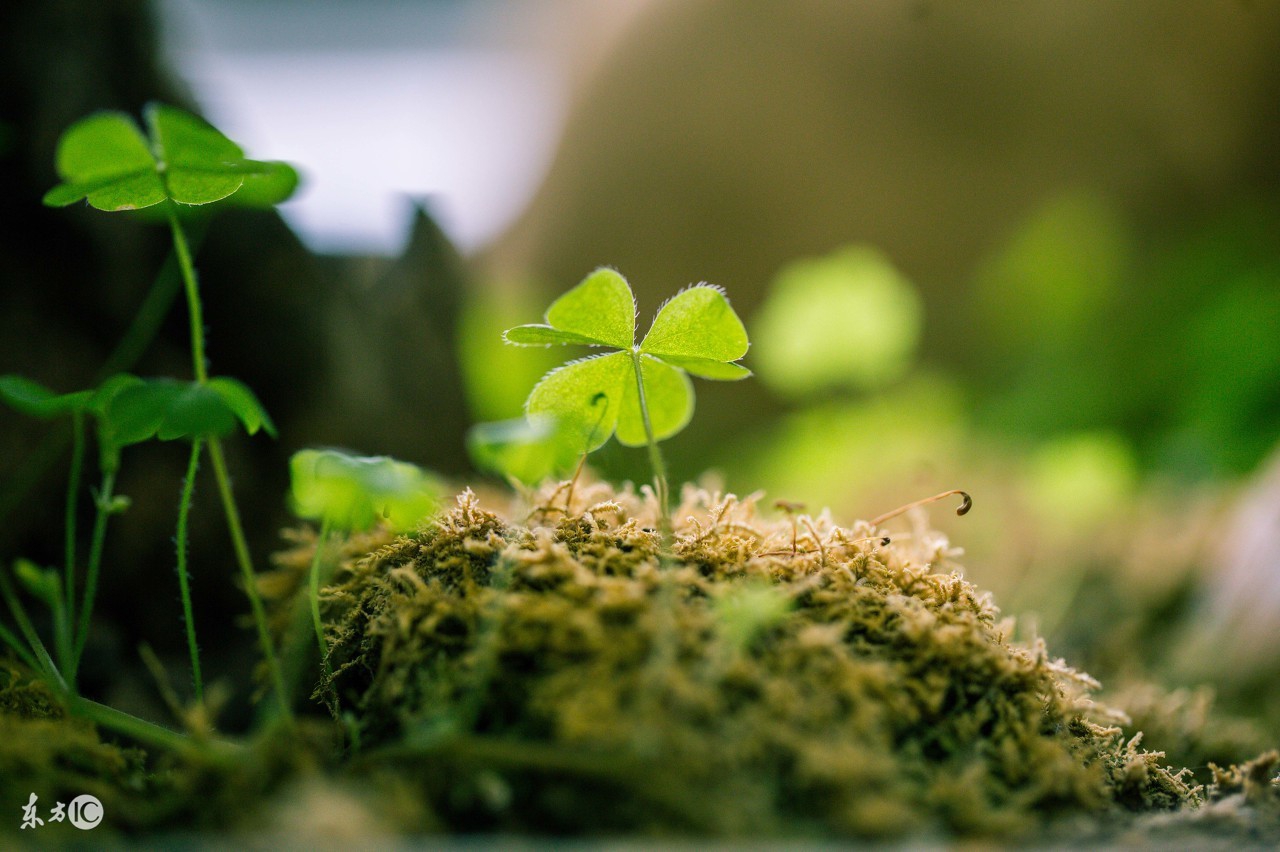 为什么自己总是得不到别人的认可,为什么你总是渴望得到他人的认可