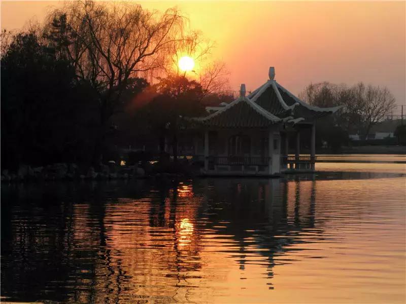 上海100个公园图片,上海有哪些免费的国家级公园