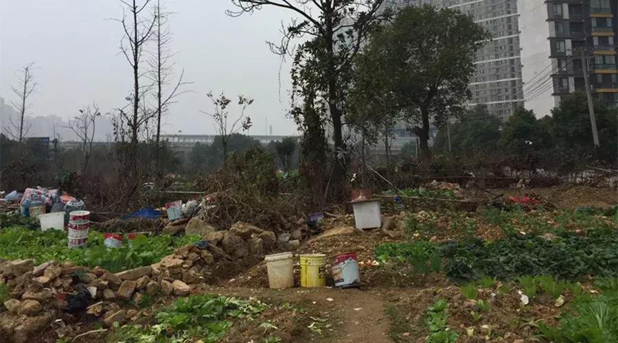 万科金域蓝湾长沙属于哪个板块,长沙万科金域蓝湾涨大水吗